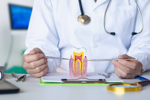 Best Walk-In Emergency Dental Services in Tenino, WA
